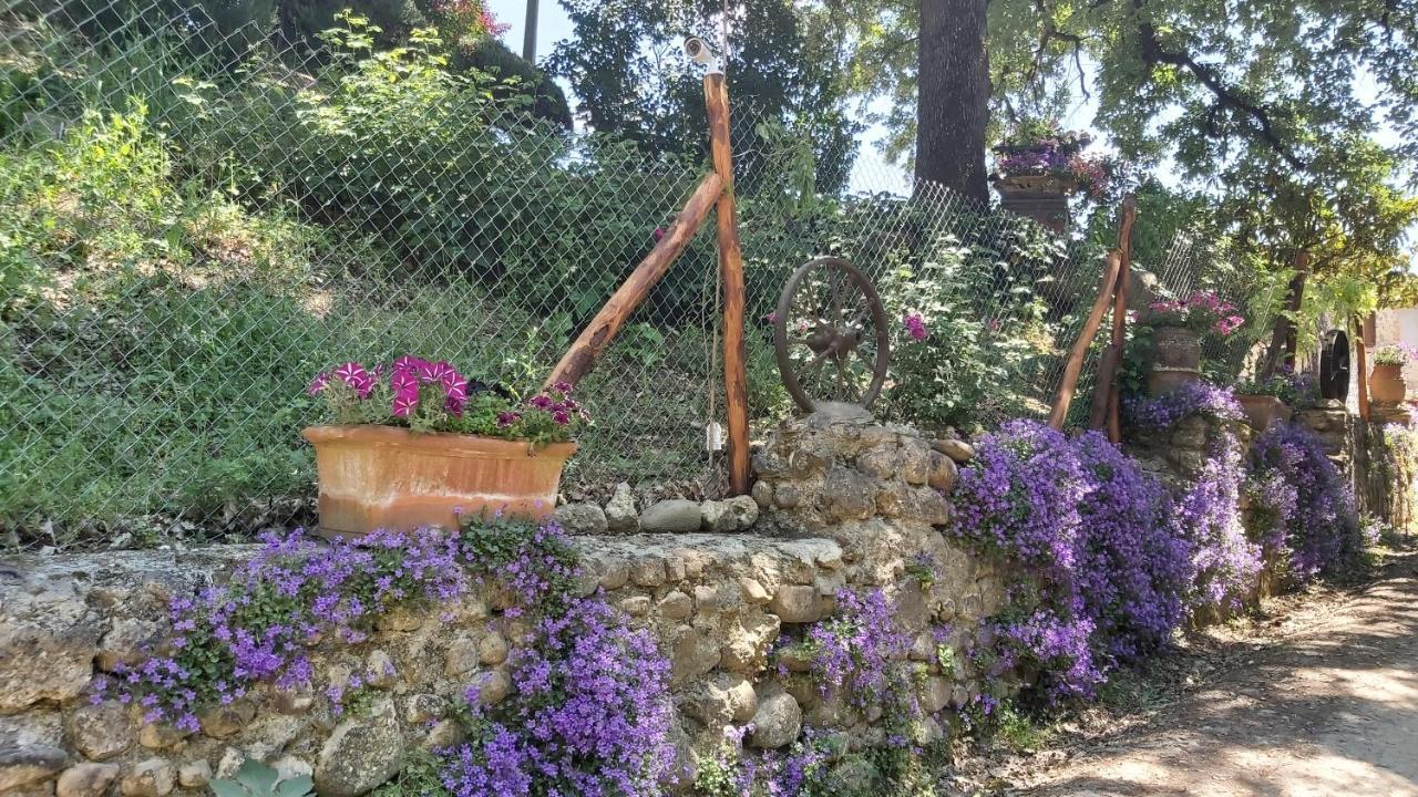 La Limonaia Country House Apartment Monteriggioni Exterior photo